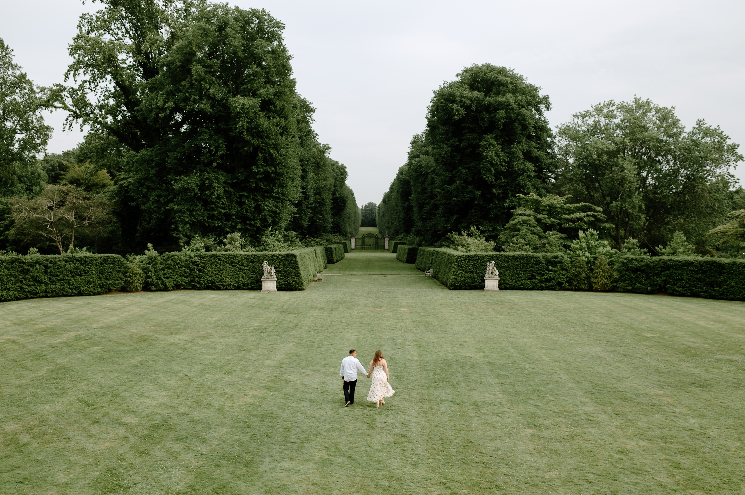 a wide landscape image of an engaged couple holding hands and walking through the field at old westbury gardens